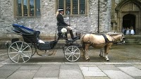 Devon and Cornwall Driving Carriages Limited 1092304 Image 7